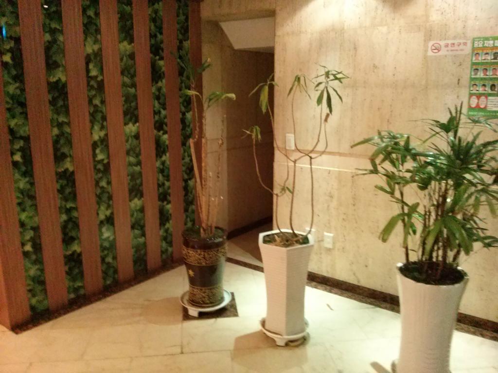 Apsan Business Hotel Daegu Bagian luar foto